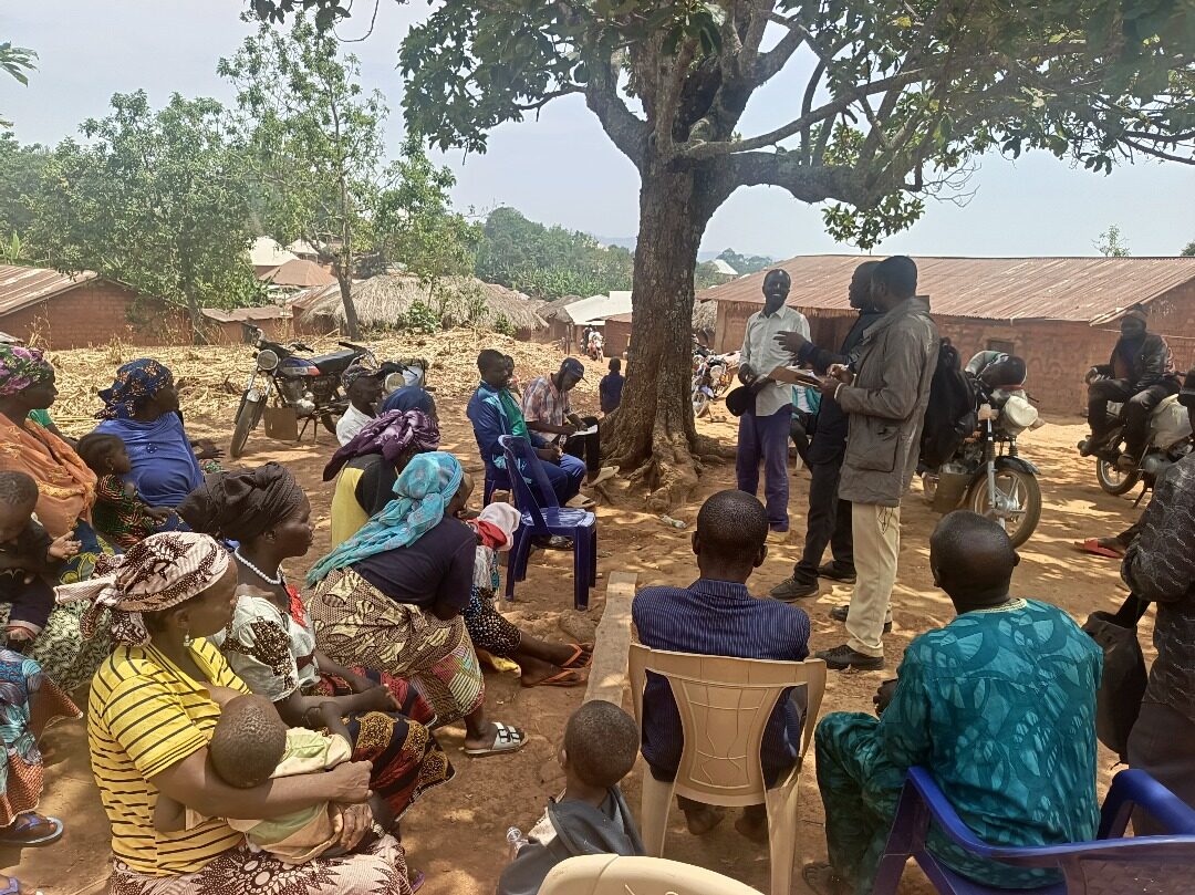 Engaging the community to understand community language needs.